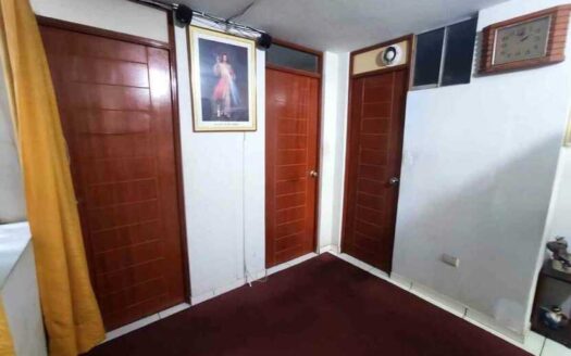 Venta de Departamento en Los Olivos